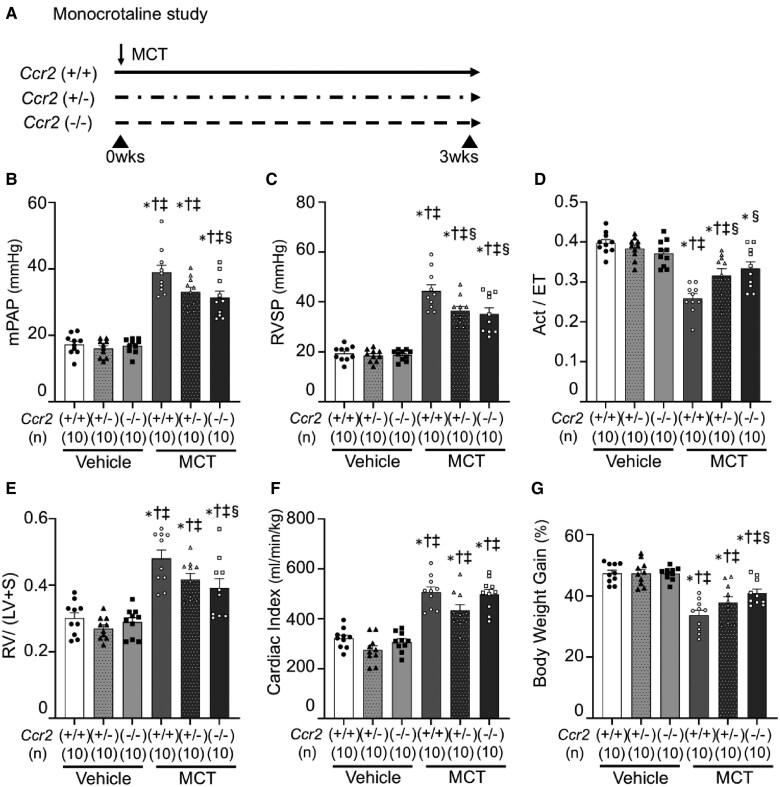 https://cdn.ncbi.nlm.nih.gov/pmc/blobs/2d04/12236072/26b368350df0/cvae244f1.jpg