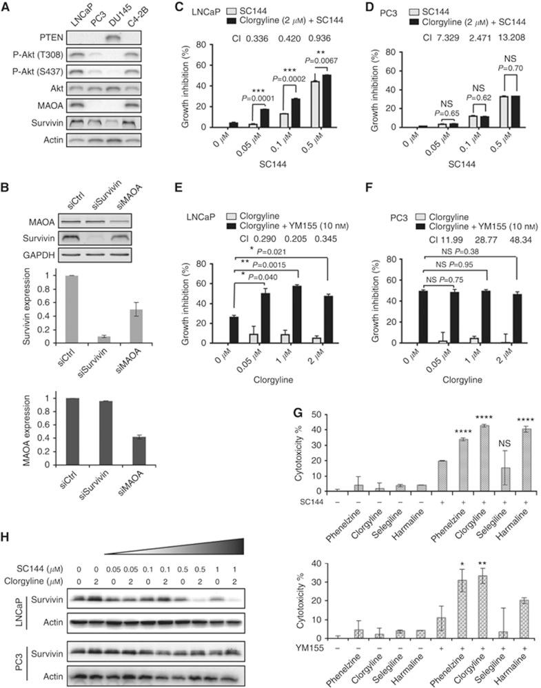 https://cdn.ncbi.nlm.nih.gov/pmc/blobs/2d06/4506394/991eadf3c388/bjc2015228f4.jpg