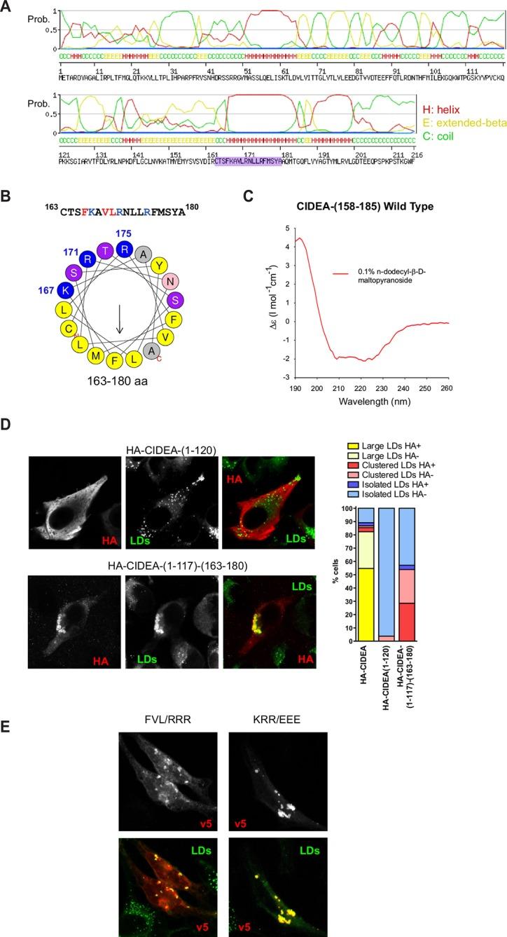 https://cdn.ncbi.nlm.nih.gov/pmc/blobs/2d06/4755750/1432e9f2c75e/elife-07485-fig3.jpg