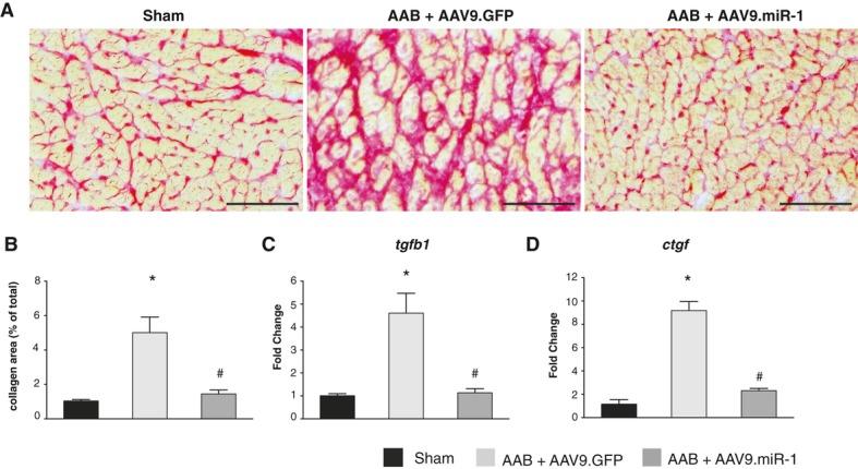 https://cdn.ncbi.nlm.nih.gov/pmc/blobs/2d0a/3647279/686f8bd412aa/jah3-2-e000078-g6.jpg