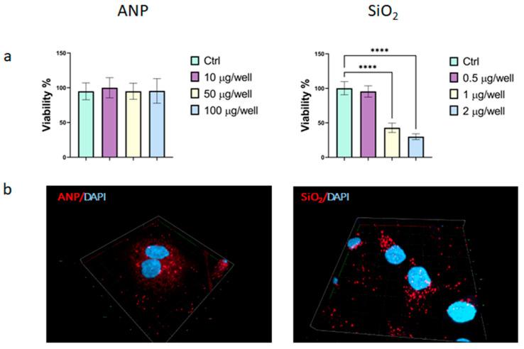https://cdn.ncbi.nlm.nih.gov/pmc/blobs/2d10/12428692/bf5bfd496d48/ijms-26-08291-g002.jpg
