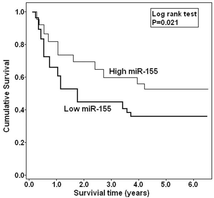 https://cdn.ncbi.nlm.nih.gov/pmc/blobs/2d10/3583406/b64d648803ca/OR-27-04-1238-g1.jpg