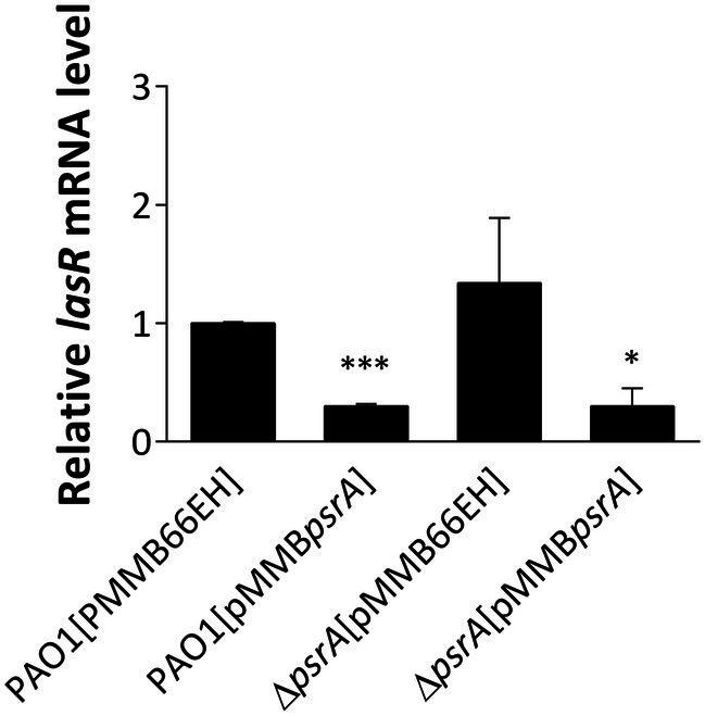 https://cdn.ncbi.nlm.nih.gov/pmc/blobs/2d11/11233452/b5b79cc49756/fmicb-15-1424330-g003.jpg