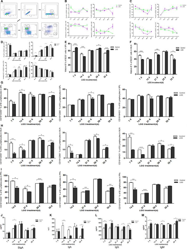https://cdn.ncbi.nlm.nih.gov/pmc/blobs/2d12/7412698/cd64ed7a8107/JCMM-24-8883-g001.jpg