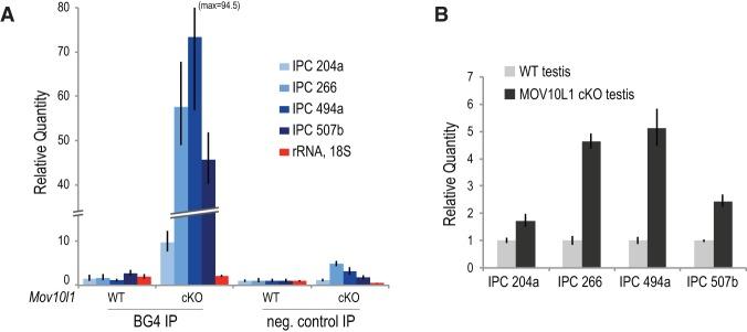 https://cdn.ncbi.nlm.nih.gov/pmc/blobs/2d15/4378194/88b398d6c58c/617f04.jpg