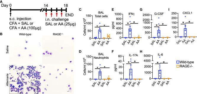 https://cdn.ncbi.nlm.nih.gov/pmc/blobs/2d15/9910358/347a0b891e11/fimmu-14-1039997-g001.jpg