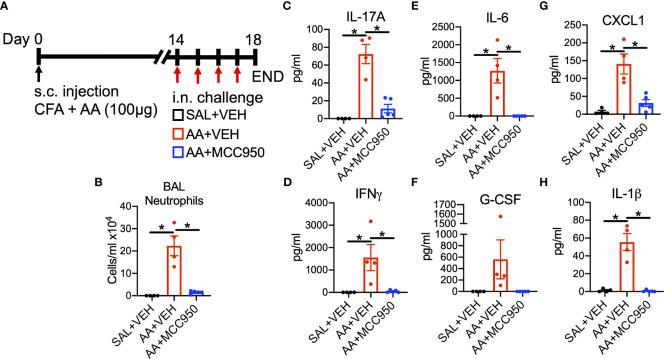 https://cdn.ncbi.nlm.nih.gov/pmc/blobs/2d15/9910358/4ddbd607fe82/fimmu-14-1039997-g004.jpg
