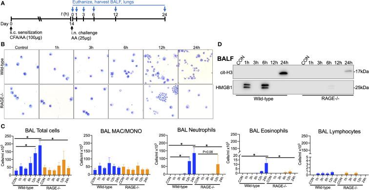 https://cdn.ncbi.nlm.nih.gov/pmc/blobs/2d15/9910358/d3e3dabf93cc/fimmu-14-1039997-g007.jpg