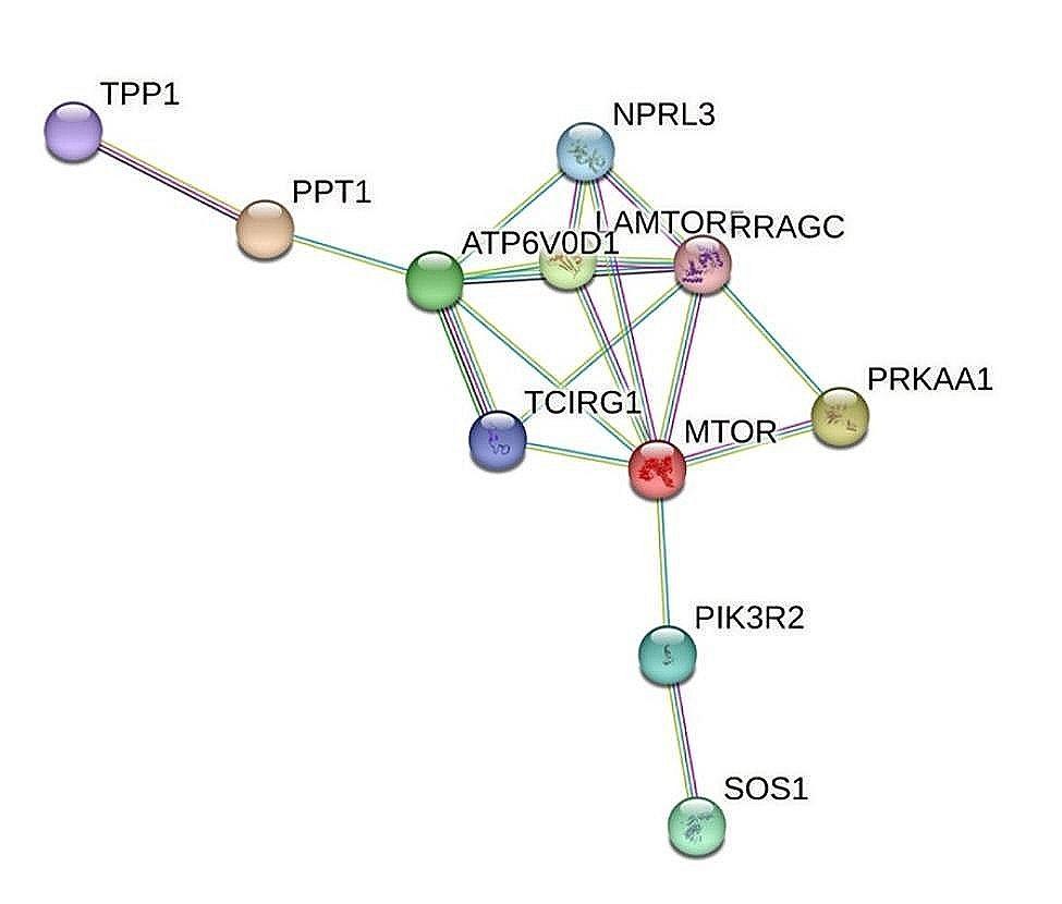 https://cdn.ncbi.nlm.nih.gov/pmc/blobs/2d16/10986116/48f0da90af26/12864_2024_10166_Fig6_HTML.jpg