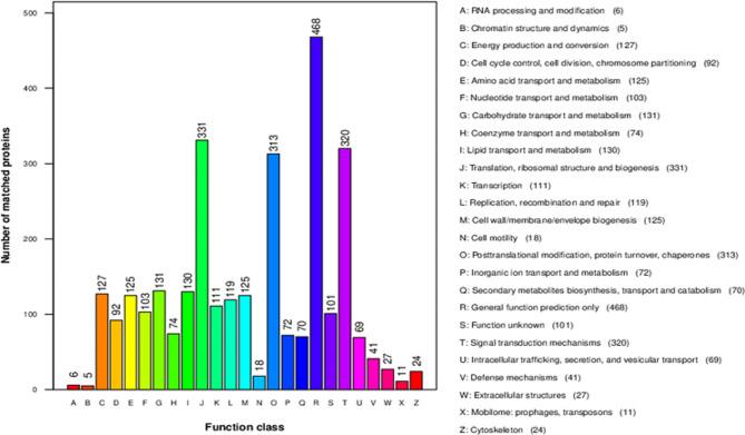 https://cdn.ncbi.nlm.nih.gov/pmc/blobs/2d16/10986116/872319dd079c/12864_2024_10166_Fig4_HTML.jpg