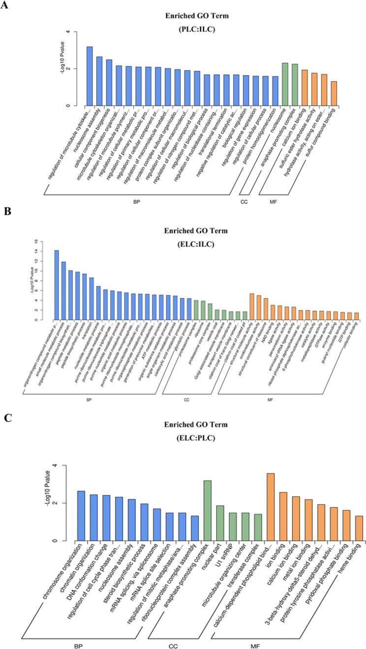 https://cdn.ncbi.nlm.nih.gov/pmc/blobs/2d16/10986116/cbc96f97eae7/12864_2024_10166_Fig3_HTML.jpg