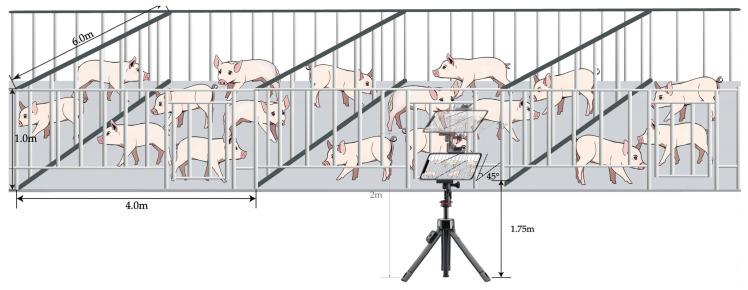 https://cdn.ncbi.nlm.nih.gov/pmc/blobs/2d16/11047650/23423d3f4e01/animals-14-01227-g002.jpg