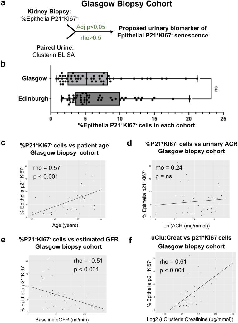 https://cdn.ncbi.nlm.nih.gov/pmc/blobs/2d16/12266154/98f3386063e4/gr3.jpg