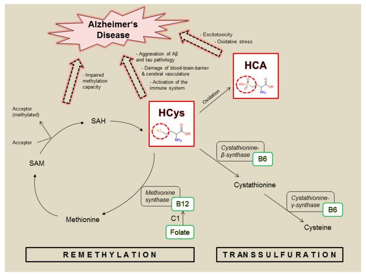 https://cdn.ncbi.nlm.nih.gov/pmc/blobs/2d17/7690745/a9b1af4c4c32/nutrients-12-03248-g001.jpg