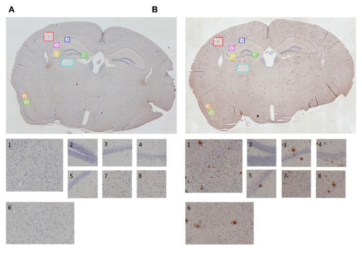 https://cdn.ncbi.nlm.nih.gov/pmc/blobs/2d17/7690745/bb91e1fe53d1/nutrients-12-03248-g010.jpg