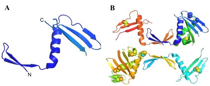 https://cdn.ncbi.nlm.nih.gov/pmc/blobs/2d18/5609170/0c7fb45e246b/etm-14-03-1859-g03.jpg