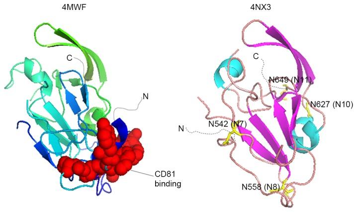 https://cdn.ncbi.nlm.nih.gov/pmc/blobs/2d18/5609170/471ed048b2bb/etm-14-03-1859-g02.jpg