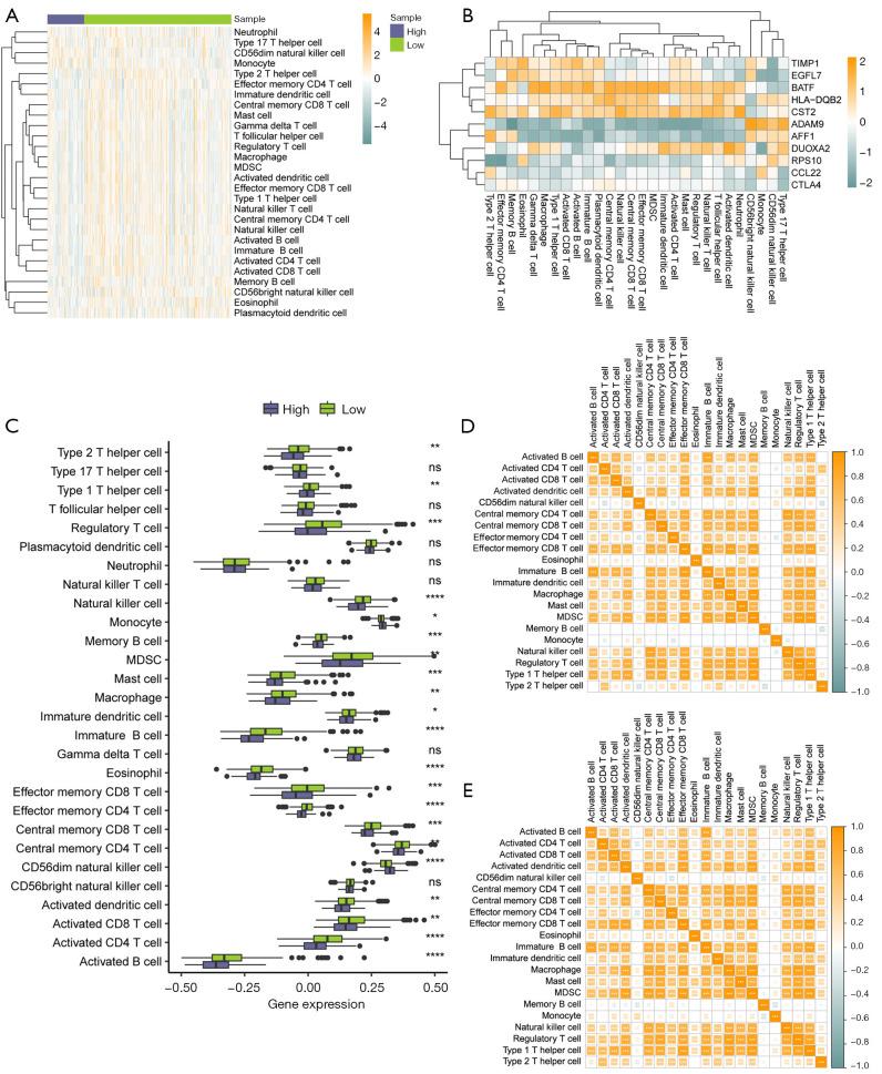 https://cdn.ncbi.nlm.nih.gov/pmc/blobs/2d19/12170119/88b9b4c20bf8/tcr-14-05-2835-f7.jpg