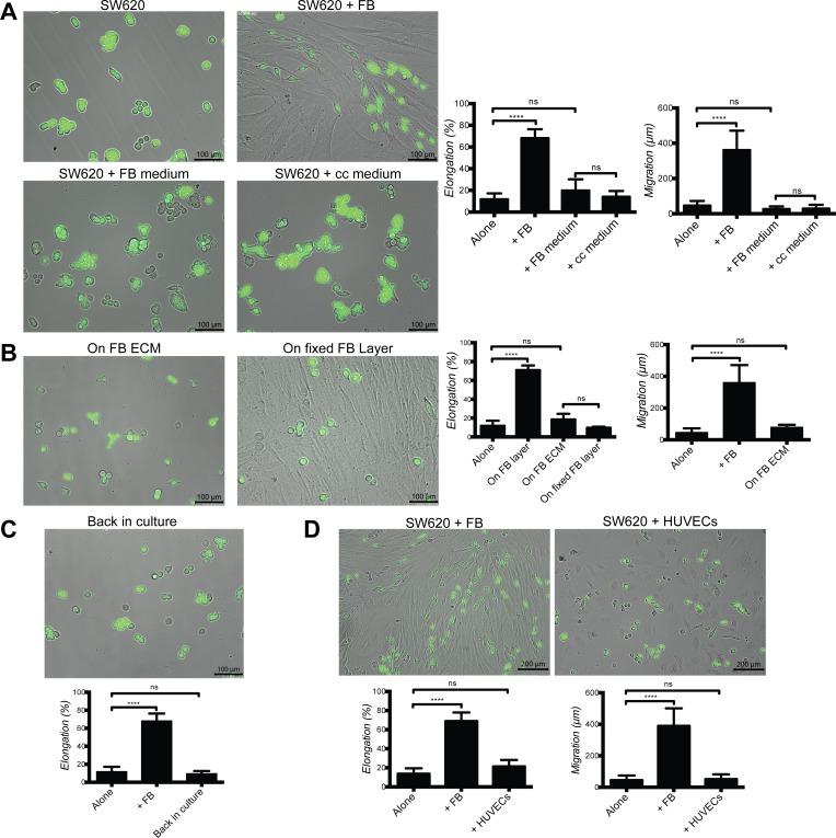 https://cdn.ncbi.nlm.nih.gov/pmc/blobs/2d1a/4546468/de0b774c4c6a/oncotarget-06-14300-g004.jpg