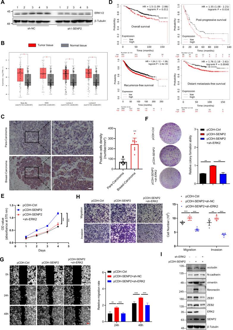 https://cdn.ncbi.nlm.nih.gov/pmc/blobs/2d1b/11584840/6bce7ab7a5a4/18_2024_5505_Fig3_HTML.jpg