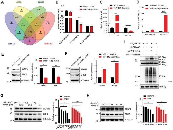 https://cdn.ncbi.nlm.nih.gov/pmc/blobs/2d1b/11584840/a33b38dd000c/18_2024_5505_Fig6_HTML.jpg