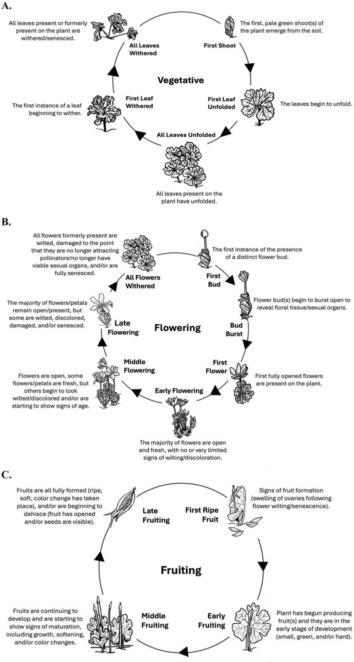 https://cdn.ncbi.nlm.nih.gov/pmc/blobs/2d1b/11650752/ffe1a6d770d8/ECE3-14-e70700-g004.jpg