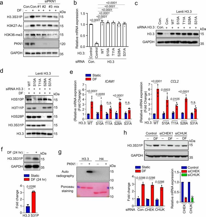 https://cdn.ncbi.nlm.nih.gov/pmc/blobs/2d1c/11825370/310c83b495d4/44161_2024_593_Fig11_ESM.jpg