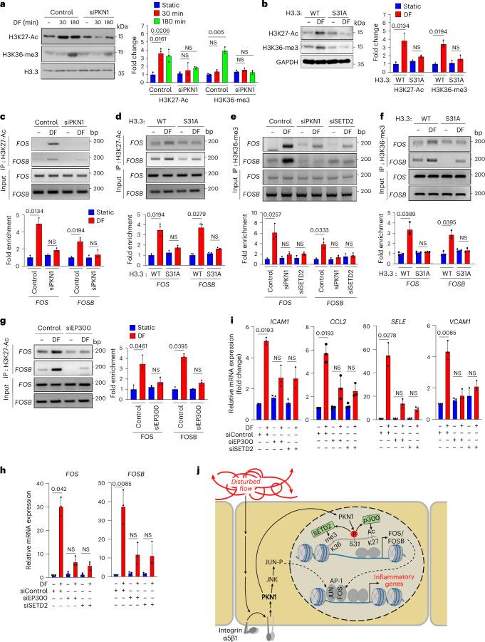 https://cdn.ncbi.nlm.nih.gov/pmc/blobs/2d1c/11825370/8ac536272dc8/44161_2024_593_Fig5_HTML.jpg