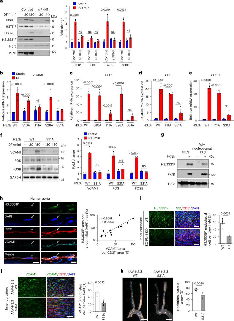 https://cdn.ncbi.nlm.nih.gov/pmc/blobs/2d1c/11825370/9bfac6bf497b/44161_2024_593_Fig4_HTML.jpg
