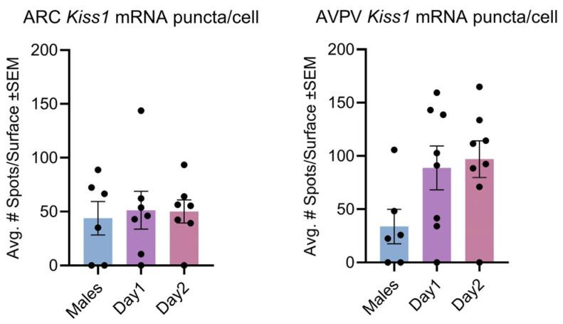 https://cdn.ncbi.nlm.nih.gov/pmc/blobs/2d1c/12248998/babf4e4417d5/cells-14-00992-g004.jpg