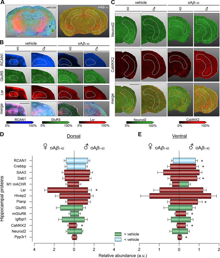 https://cdn.ncbi.nlm.nih.gov/pmc/blobs/2d1d/12103767/2d21f870e6fe/13293_2025_697_Fig4_HTML.jpg