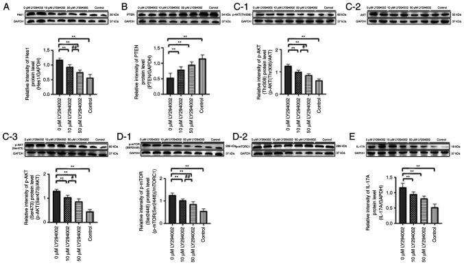 https://cdn.ncbi.nlm.nih.gov/pmc/blobs/2d1d/9175275/0d4984e0157f/mmr-26-01-12739-g08.jpg
