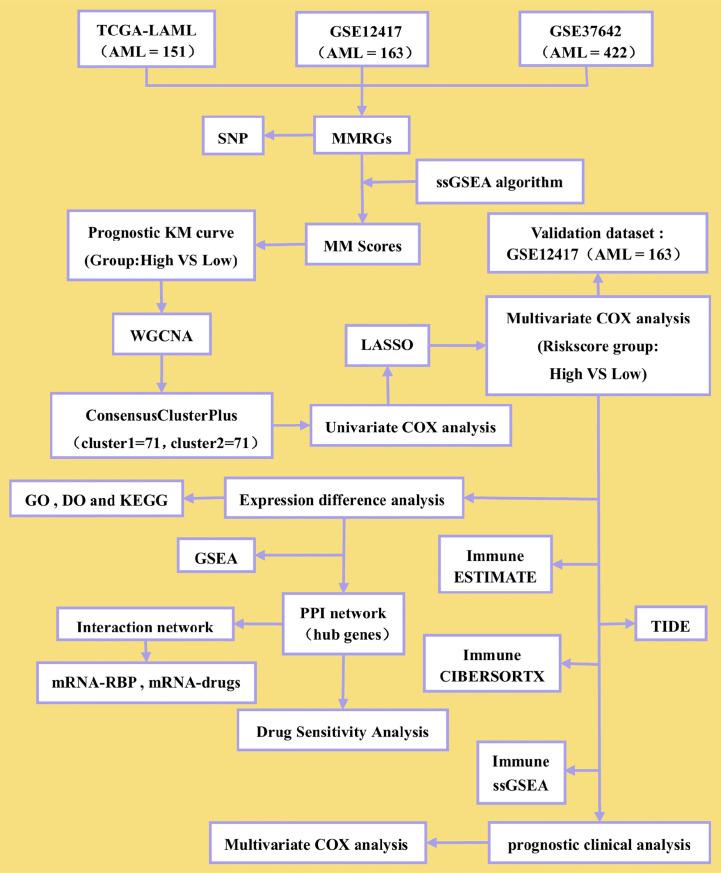 https://cdn.ncbi.nlm.nih.gov/pmc/blobs/2d1f/10149950/1a4517725b8d/fimmu-14-1120670-g001.jpg