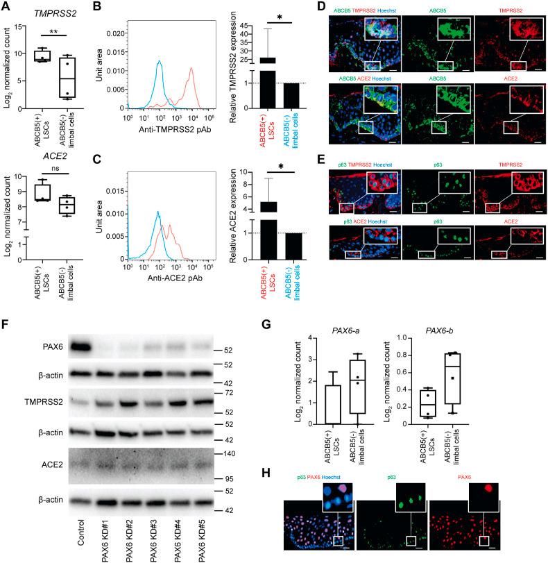 https://cdn.ncbi.nlm.nih.gov/pmc/blobs/2d1f/8511872/89db25aa1433/gr1_lrg.jpg