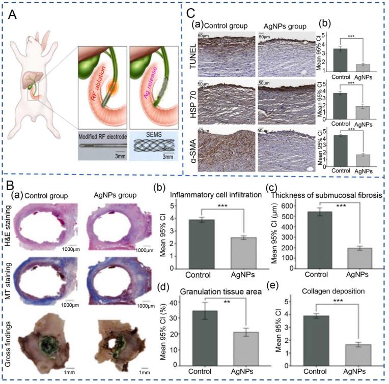 https://cdn.ncbi.nlm.nih.gov/pmc/blobs/2d22/11417150/b5cc77d96ff5/gr10.jpg