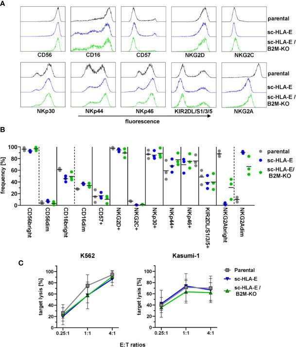 https://cdn.ncbi.nlm.nih.gov/pmc/blobs/2d24/7878547/9c8748959bf8/fimmu-11-586168-g003.jpg