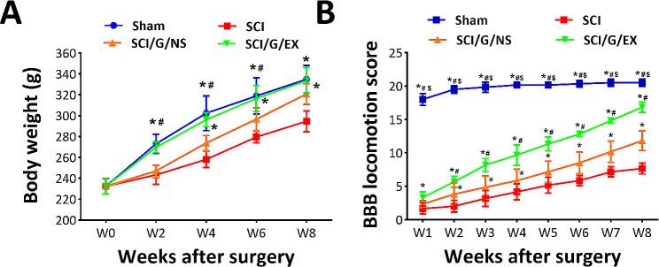 https://cdn.ncbi.nlm.nih.gov/pmc/blobs/2d25/11103960/29bdaf6a77fe/13287_2024_3758_Fig3_HTML.jpg