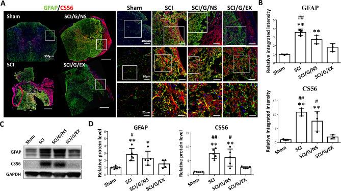 https://cdn.ncbi.nlm.nih.gov/pmc/blobs/2d25/11103960/8cc96a85f54c/13287_2024_3758_Fig8_HTML.jpg