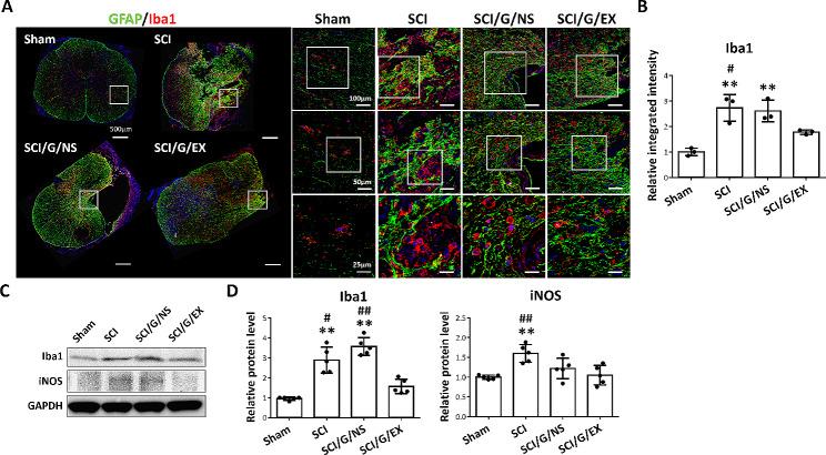 https://cdn.ncbi.nlm.nih.gov/pmc/blobs/2d25/11103960/ce5e80d5505d/13287_2024_3758_Fig9_HTML.jpg