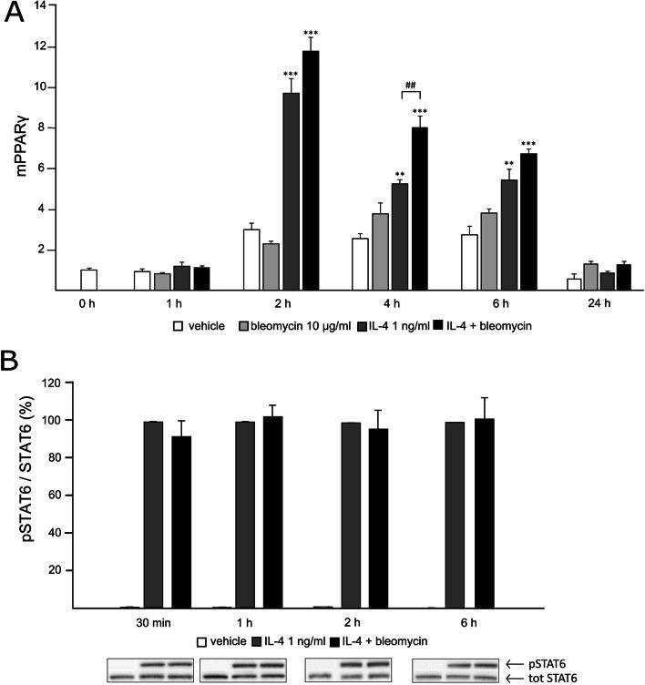 https://cdn.ncbi.nlm.nih.gov/pmc/blobs/2d25/9875496/0d426947a0b3/13075_2023_2994_Fig6_HTML.jpg