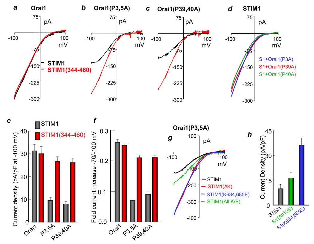 https://cdn.ncbi.nlm.nih.gov/pmc/blobs/2d27/2663385/280ee7be4cb7/nihms103214f5.jpg