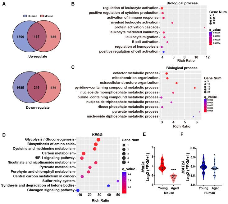 https://cdn.ncbi.nlm.nih.gov/pmc/blobs/2d28/11430595/f9a7753977bd/biomolecules-14-01098-g001.jpg