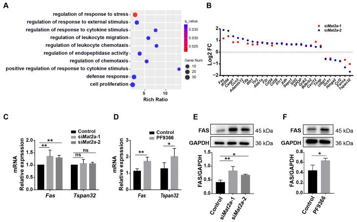https://cdn.ncbi.nlm.nih.gov/pmc/blobs/2d28/11430595/fa27903c75d8/biomolecules-14-01098-g005.jpg