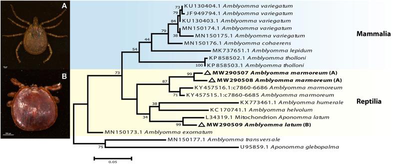 https://cdn.ncbi.nlm.nih.gov/pmc/blobs/2d2b/8455905/a15fa3b73a4b/gr1.jpg