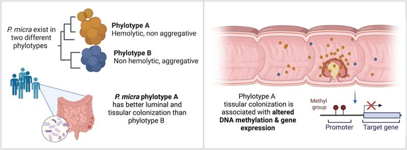 https://cdn.ncbi.nlm.nih.gov/pmc/blobs/2d2d/10580862/a3900f45c5af/KGMI_A_2265138_UF0001_OC.jpg