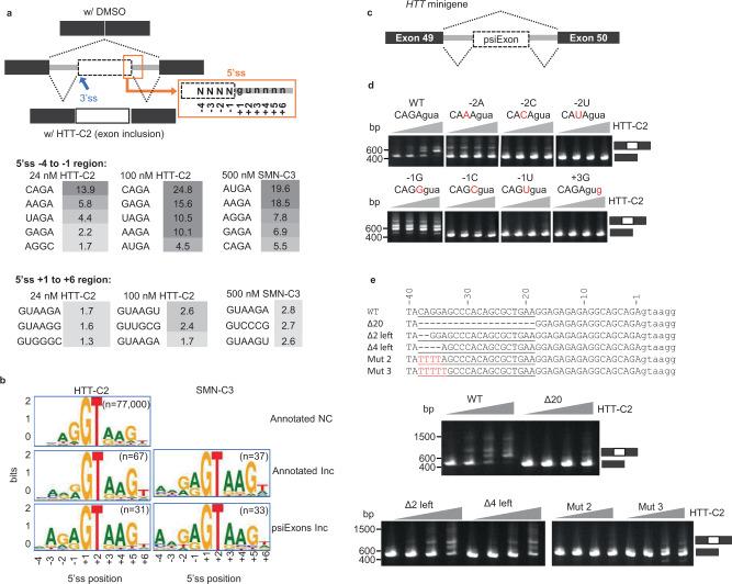 https://cdn.ncbi.nlm.nih.gov/pmc/blobs/2d2d/8674292/f9caac479cd4/41467_2021_27157_Fig4_HTML.jpg