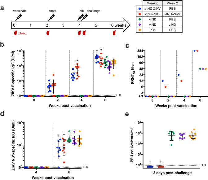 https://cdn.ncbi.nlm.nih.gov/pmc/blobs/2d31/7985303/cac482958ffb/41598_2021_85951_Fig5_HTML.jpg