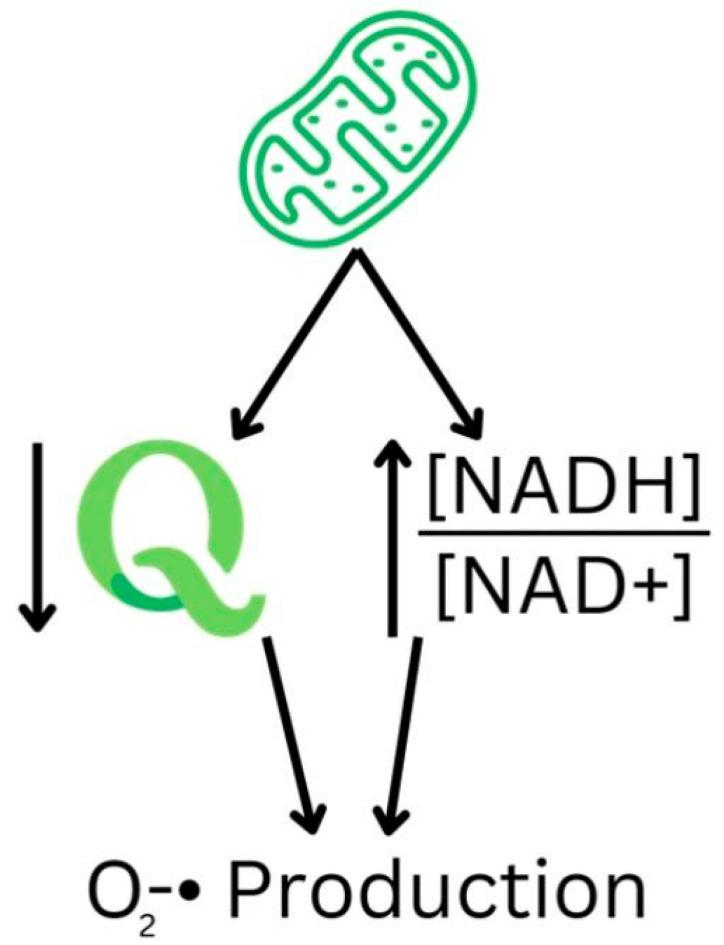 https://cdn.ncbi.nlm.nih.gov/pmc/blobs/2d34/11357639/1e3d14e9fcea/nutrients-16-02795-g001.jpg
