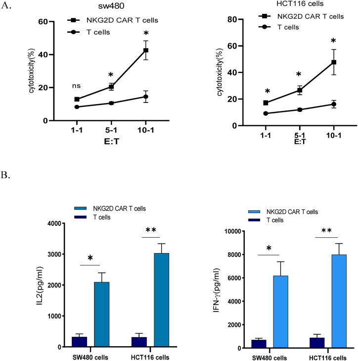 https://cdn.ncbi.nlm.nih.gov/pmc/blobs/2d35/10543764/3c443decb495/gr3.jpg
