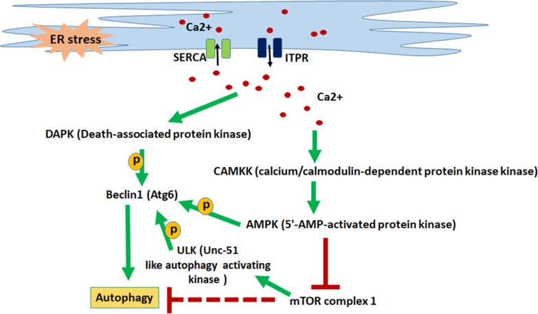https://cdn.ncbi.nlm.nih.gov/pmc/blobs/2d35/10581152/d5b4218f8566/spectrum.01301-23.f007.jpg